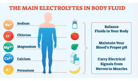 Do Electrolytes Come from Salt? Understanding the Source of Essential Minerals